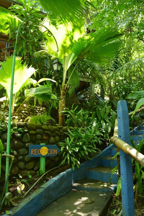 Hotel Luna Llena Nicoya Luaran gambar